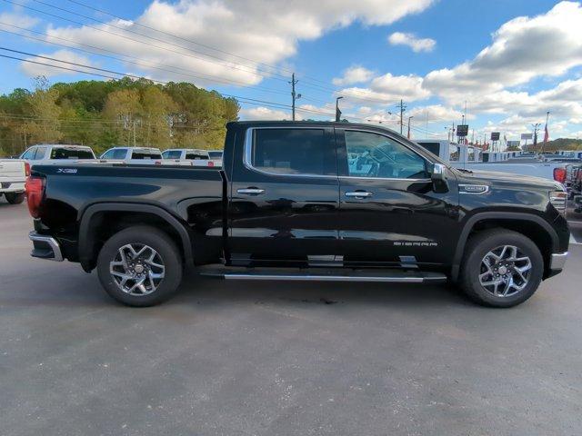 2025 GMC Sierra 1500 Vehicle Photo in ALBERTVILLE, AL 35950-0246