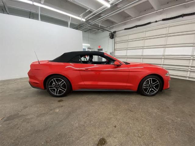 2022 Ford Mustang Vehicle Photo in PORTLAND, OR 97225-3518