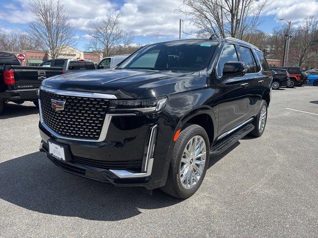 2023 Cadillac Escalade Vehicle Photo in MOUNT KISCO, NY 10549-1513