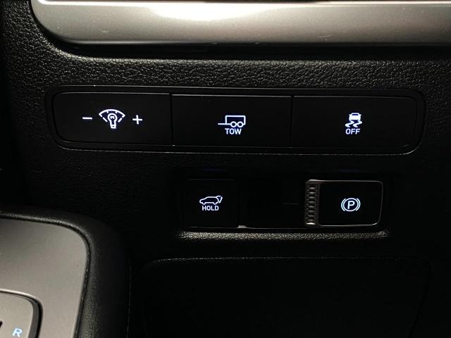 2024 Hyundai PALISADE Vehicle Photo in Appleton, WI 54913