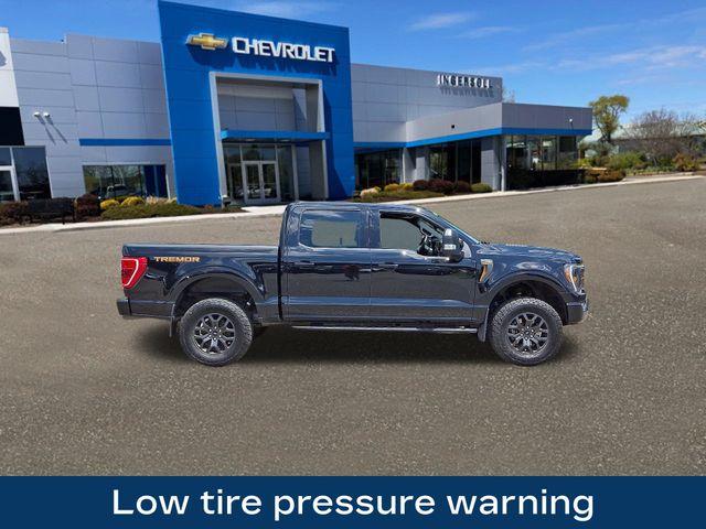 2023 Ford F-150 Vehicle Photo in DANBURY, CT 06810-5034