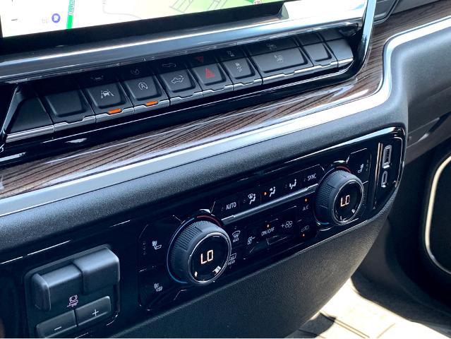 2025 Chevrolet Silverado 1500 Vehicle Photo in BEAUFORT, SC 29906-4218