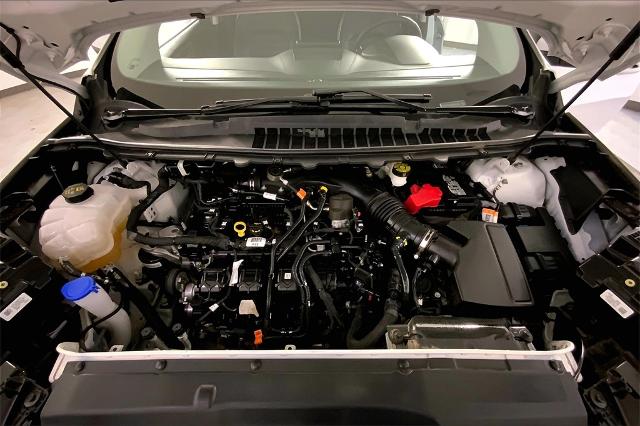2024 Ford Edge Vehicle Photo in Lees Summit, MO 64086