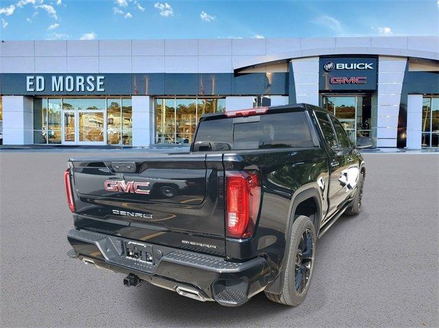 2025 GMC Sierra 1500 Vehicle Photo in SUNRISE, FL 33323-3202