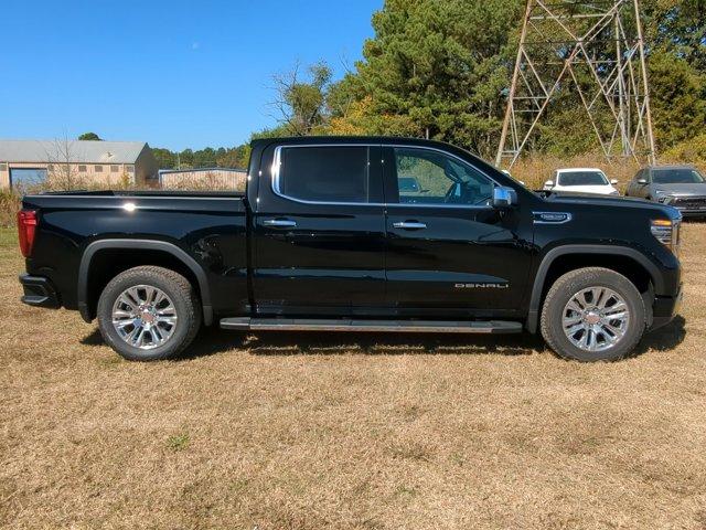 2025 GMC Sierra 1500 Vehicle Photo in ALBERTVILLE, AL 35950-0246