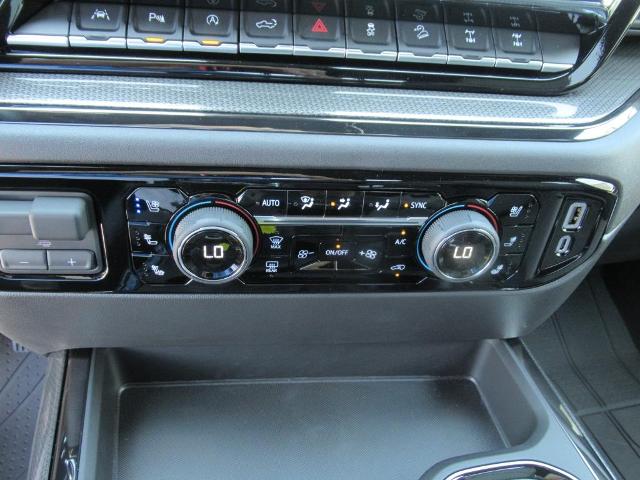 2025 Chevrolet Silverado 1500 Vehicle Photo in LEESBURG, FL 34788-4022