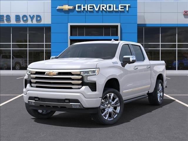 2025 Chevrolet Silverado 1500 Vehicle Photo in HENDERSON, NC 27536-2966