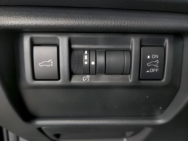 2025 Subaru Forester Vehicle Photo in Green Bay, WI 54304