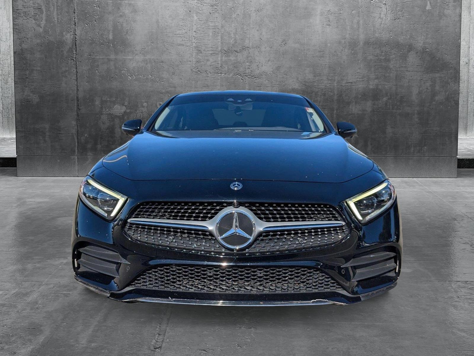 2019 Mercedes-Benz CLS Vehicle Photo in Miami, FL 33169