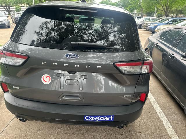 2021 Ford Escape Vehicle Photo in DALLAS, TX 75209