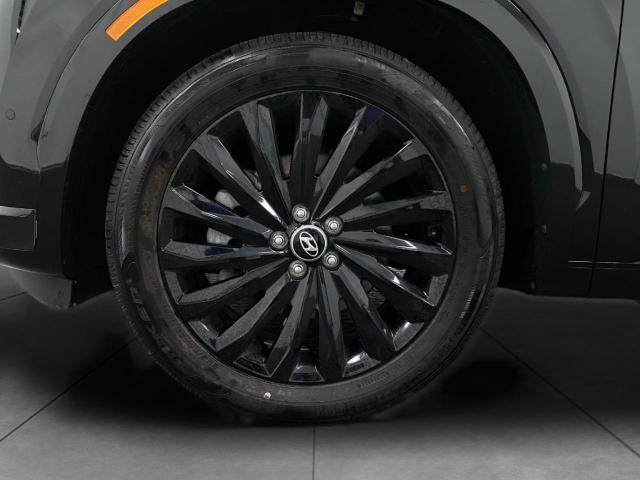 2024 Hyundai PALISADE Vehicle Photo in Appleton, WI 54913