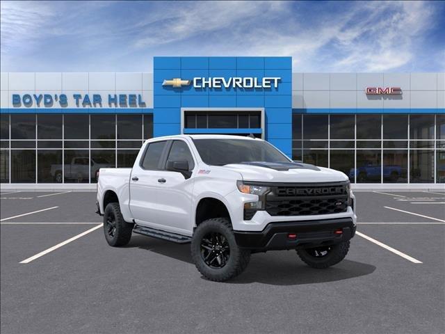 2025 Chevrolet Silverado 1500 Vehicle Photo in ROXBORO, NC 27573-6143