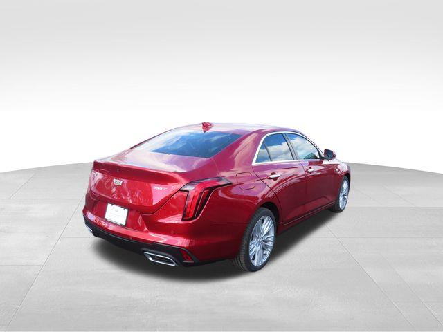 2025 Cadillac CT4 Vehicle Photo in DELRAY BEACH, FL 33483-3294