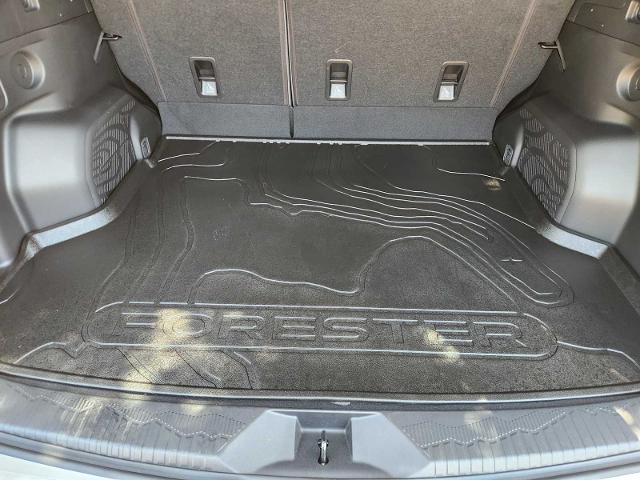 2025 Subaru Forester Vehicle Photo in DALLAS, TX 75209