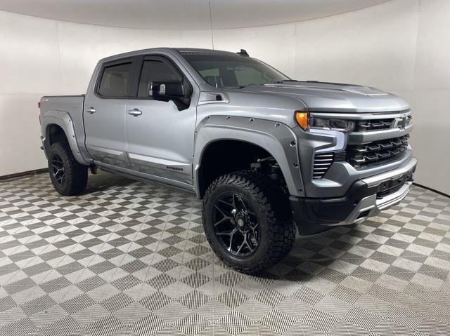 2023 Chevrolet Silverado 1500 Vehicle Photo in MEDINA, OH 44256-9001