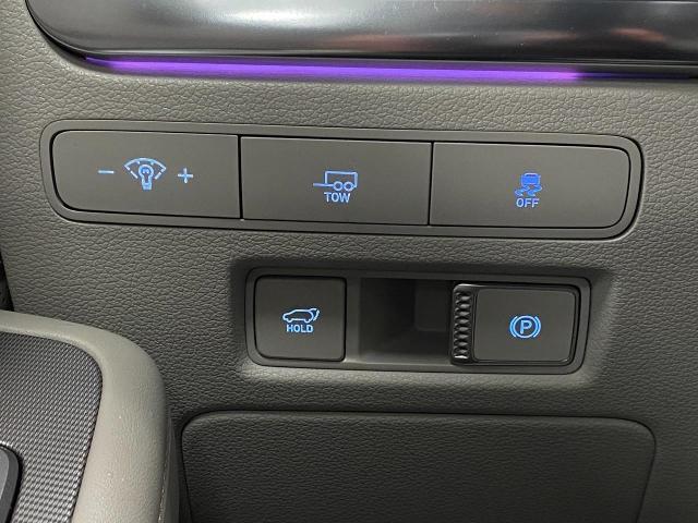 2024 Hyundai PALISADE Vehicle Photo in Appleton, WI 54913