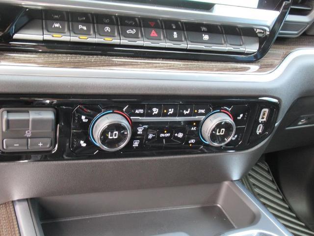 2025 Chevrolet Silverado 1500 Vehicle Photo in LEESBURG, FL 34788-4022