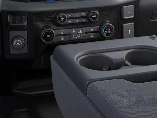 2025 Ford F-150 Vehicle Photo in Weatherford, TX 76087