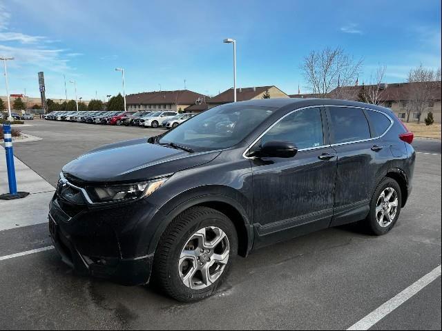 2018 Honda CR-V Vehicle Photo in Green Bay, WI 54304