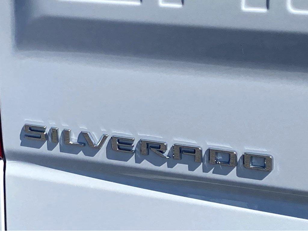 2024 Chevrolet Silverado 1500 Vehicle Photo in SAVANNAH, GA 31406-4513