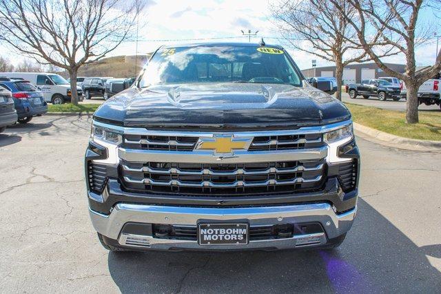 2025 Chevrolet Silverado 1500 Vehicle Photo in MILES CITY, MT 59301-5791
