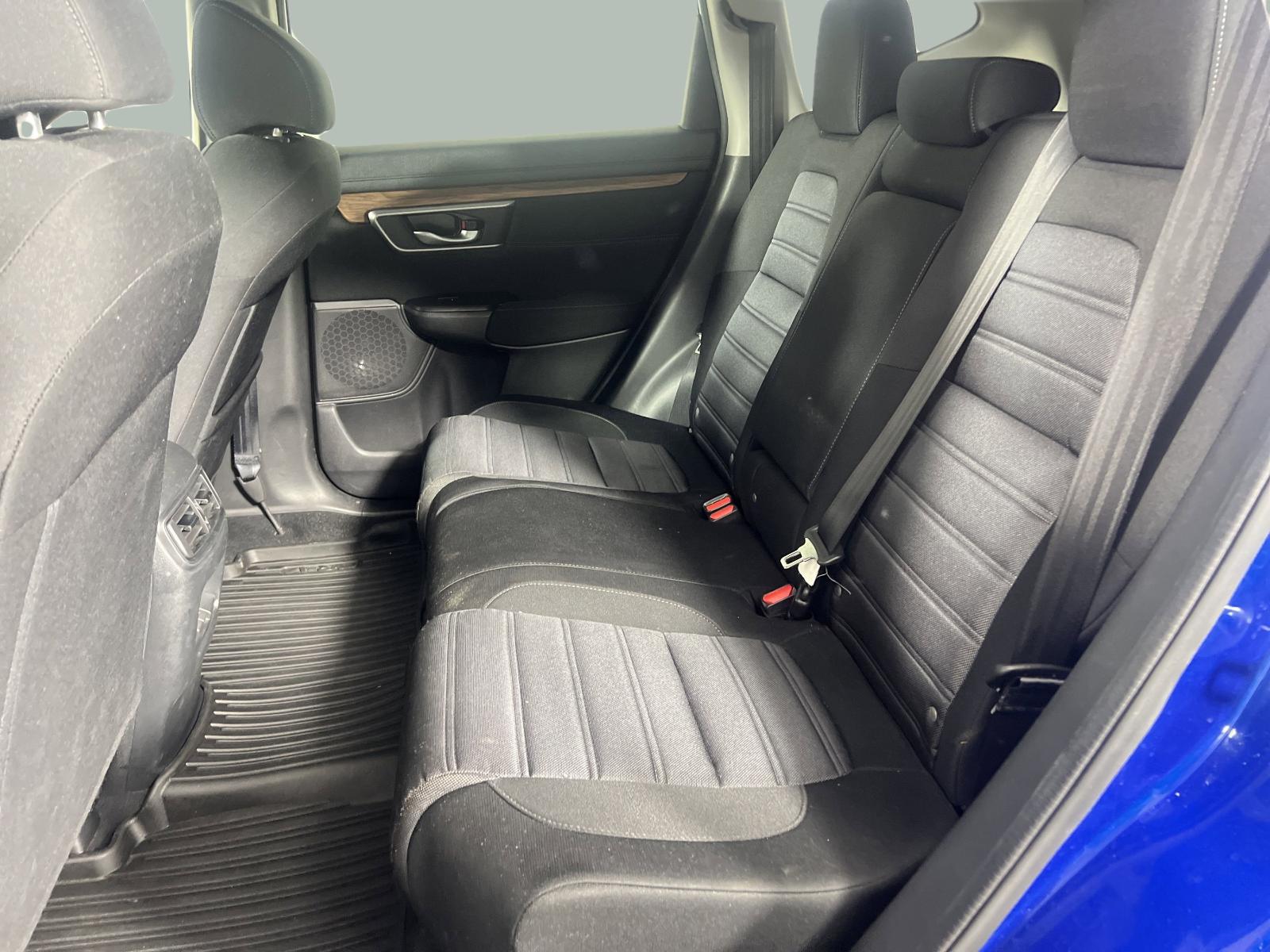2021 Honda CR-V Vehicle Photo in Georgetown, TX 78626