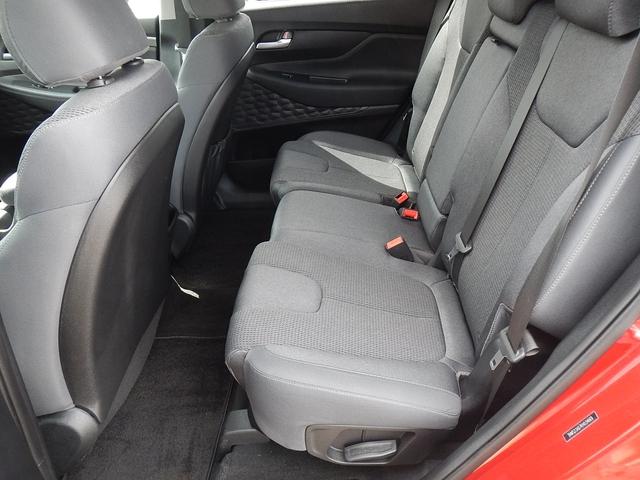 2019 Hyundai SANTA FE Vehicle Photo in JASPER, GA 30143-8655