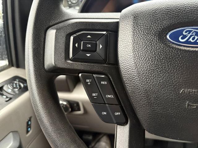 2017 Ford F-150 Vehicle Photo in Statesboro, GA 30458