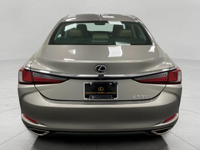 2019 Lexus ES 350 Vehicle Photo in Appleton, WI 54913