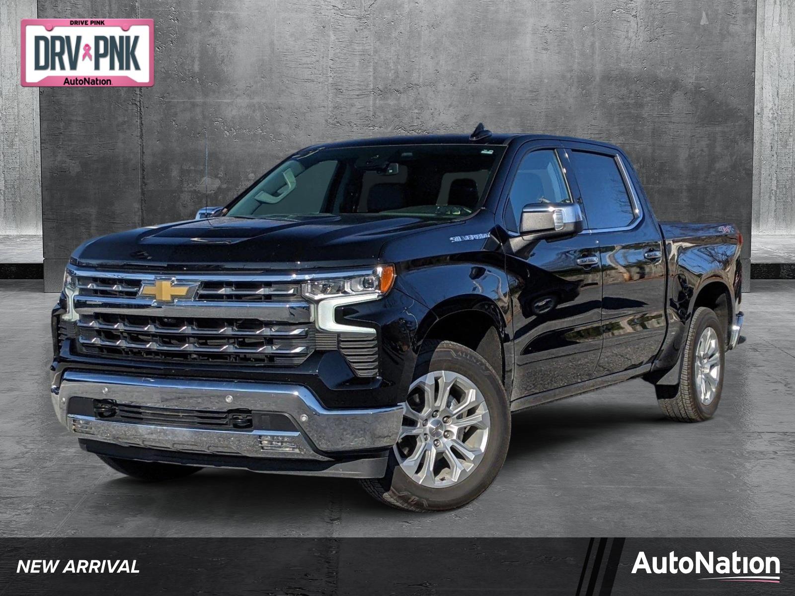 2023 Chevrolet Silverado 1500 Vehicle Photo in TIMONIUM, MD 21093-2300