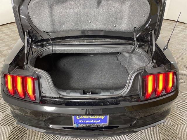 2022 Ford Mustang Vehicle Photo in PHOENIX, AZ 85014-3381