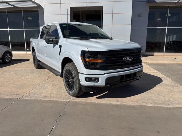 2025 Ford F-150 Vehicle Photo in Winslow, AZ 86047-2439