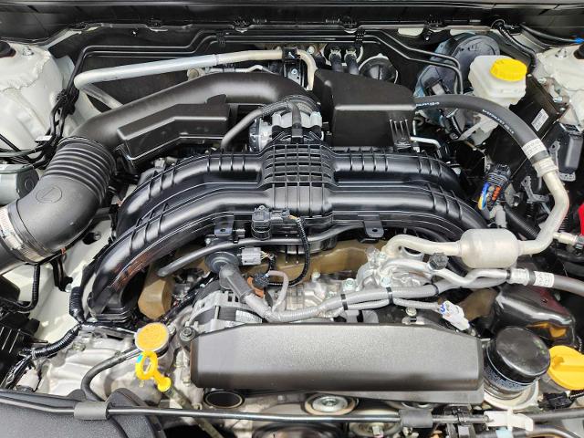 2024 Subaru Crosstrek Vehicle Photo in DALLAS, TX 75209
