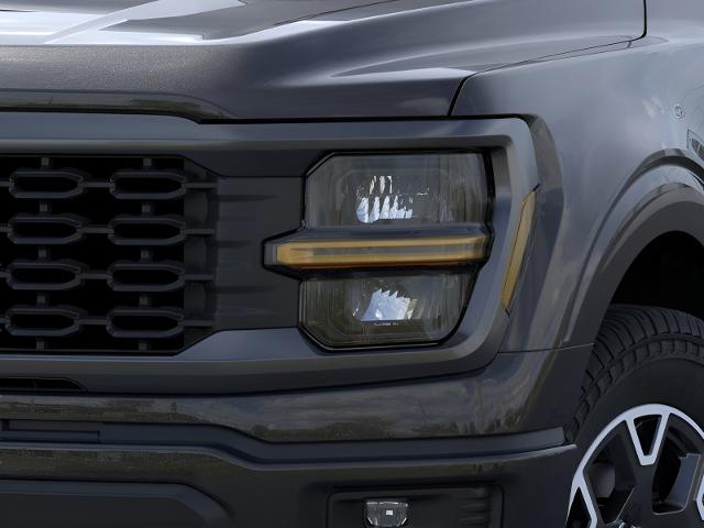 2025 Ford F-150 Vehicle Photo in Oshkosh, WI 54901