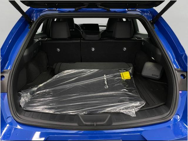 2025 Lexus UX 300h Vehicle Photo in Appleton, WI 54913