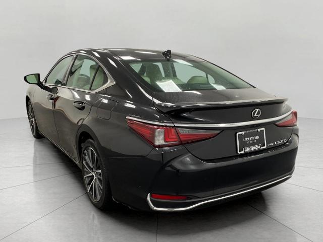 2022 Lexus ES 250 Vehicle Photo in Appleton, WI 54913