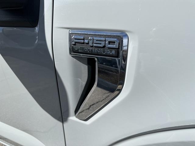 2023 Ford F-150 Vehicle Photo in Webster, MA 01570-1415