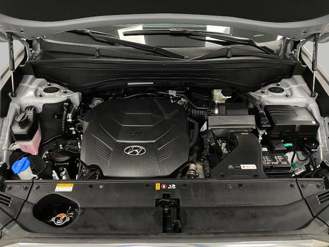 2024 Hyundai PALISADE Vehicle Photo in Appleton, WI 54913