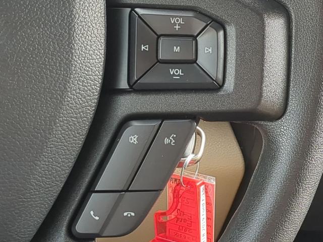 2019 Ford F-150 Vehicle Photo in Brunswick, GA 31525