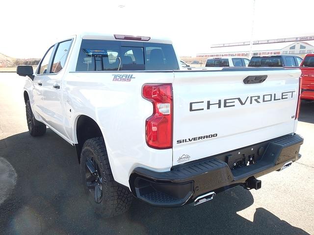 2025 Chevrolet Silverado 1500 Vehicle Photo in JASPER, GA 30143-8655