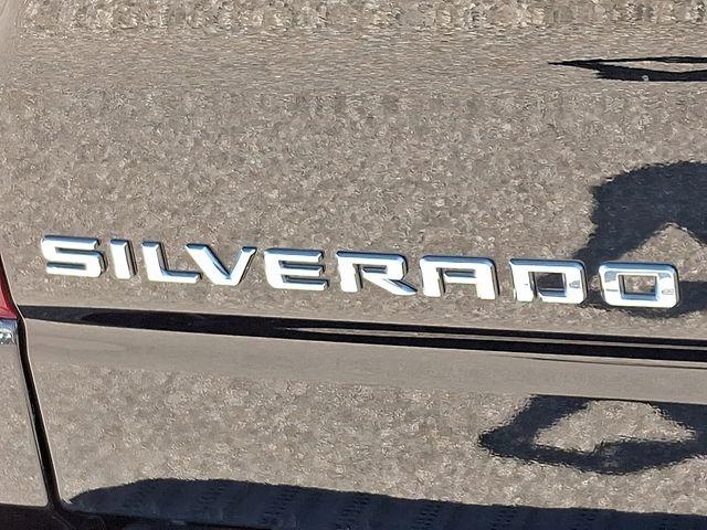 2023 Chevrolet Silverado 1500 Vehicle Photo in PAWLING, NY 12564-3219