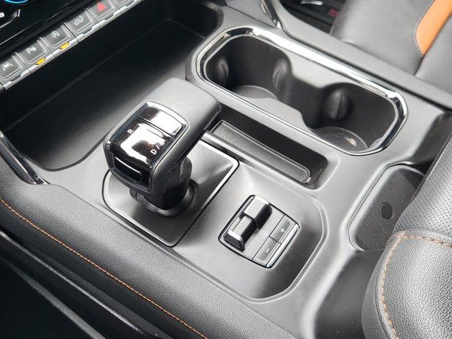 2024 GMC Sierra 1500 Vehicle Photo in Decatur, TX 76234