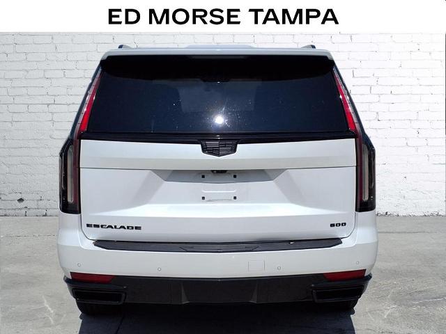 2022 Cadillac Escalade Vehicle Photo in Tampa, FL 33612