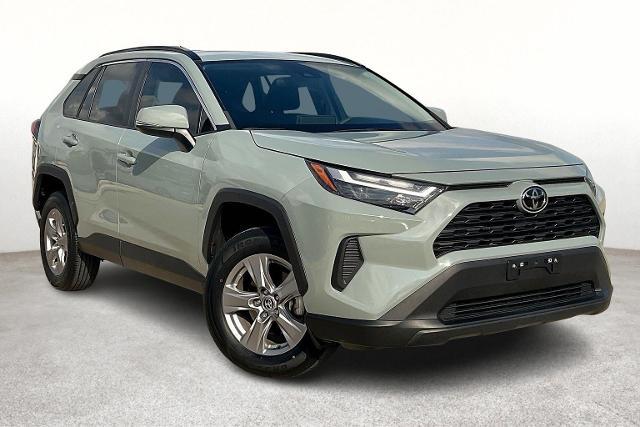 2022 Toyota RAV4 Vehicle Photo in San Antonio, TX 78230