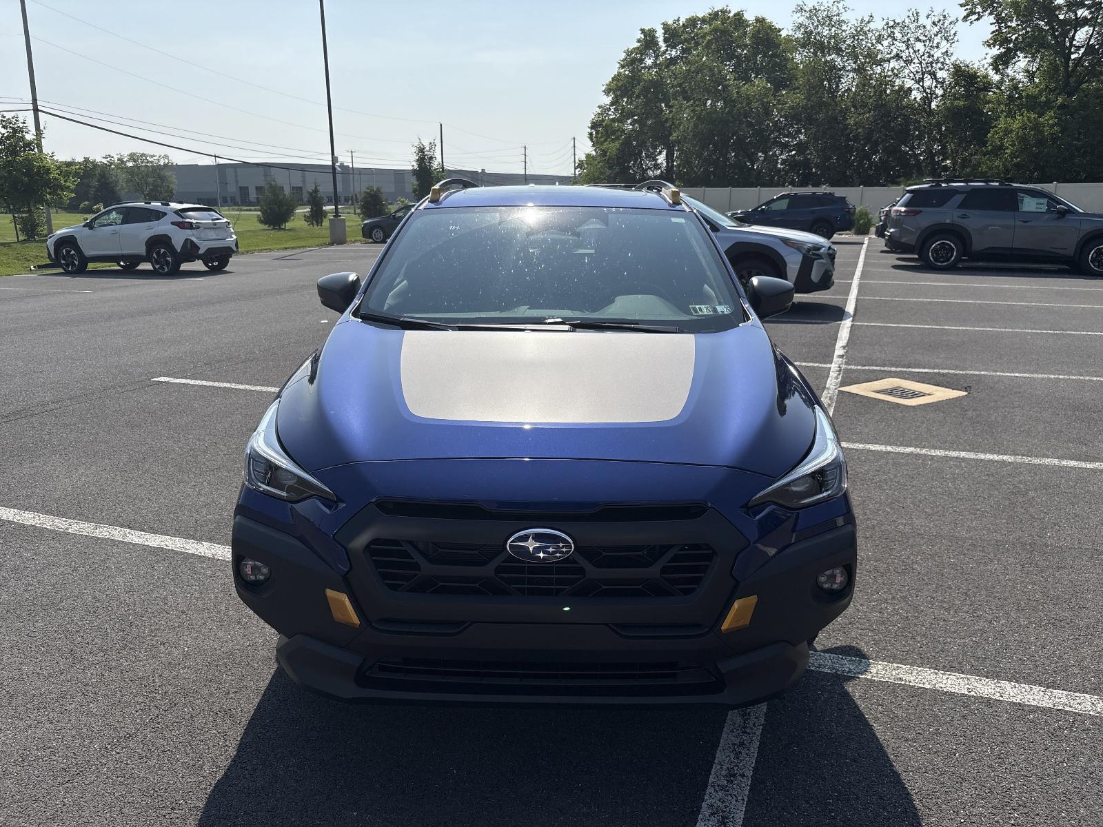2025 Subaru Crosstrek Vehicle Photo in Mechanicsburg, PA 17050