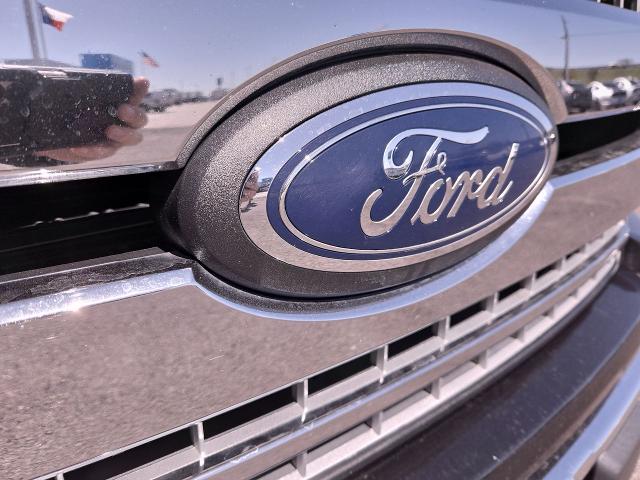 2019 Ford F-150 Vehicle Photo in NEDERLAND, TX 77627-8017