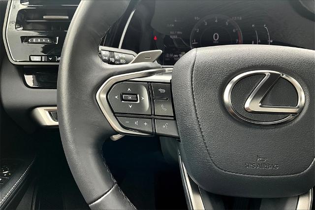 2024 Lexus RX 350 Vehicle Photo in Houston, TX 77007