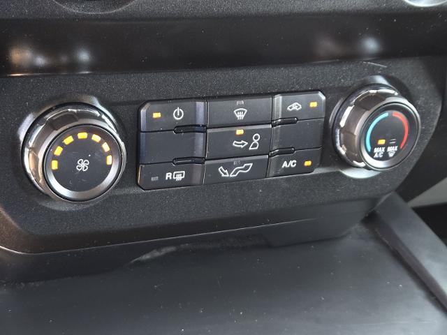 2020 Ford F-150 Vehicle Photo in Weatherford, TX 76087
