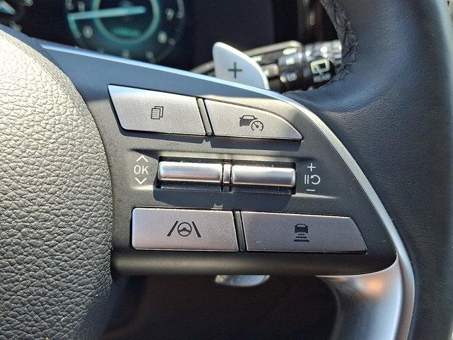 2023 Hyundai PALISADE Vehicle Photo in Philadelphia, PA 19116