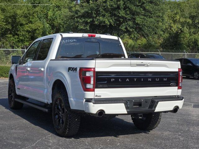 2023 Ford F-150 Vehicle Photo in Decatur, TX 76234